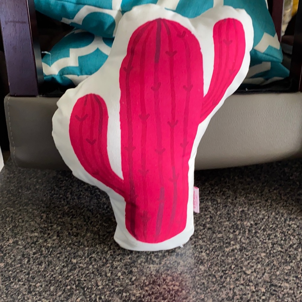 Beautiful  cactus decorative pillow